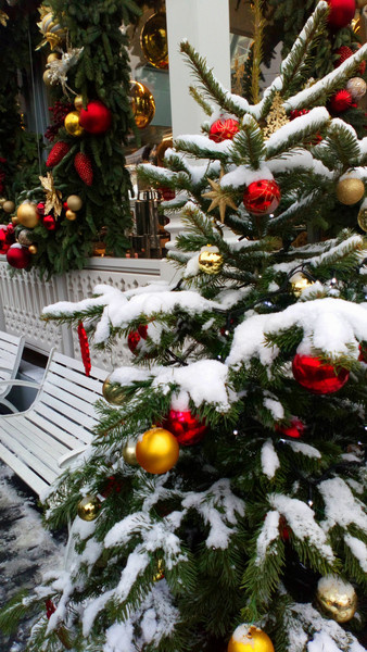 С Новым годом!  Фото А.Троилиной