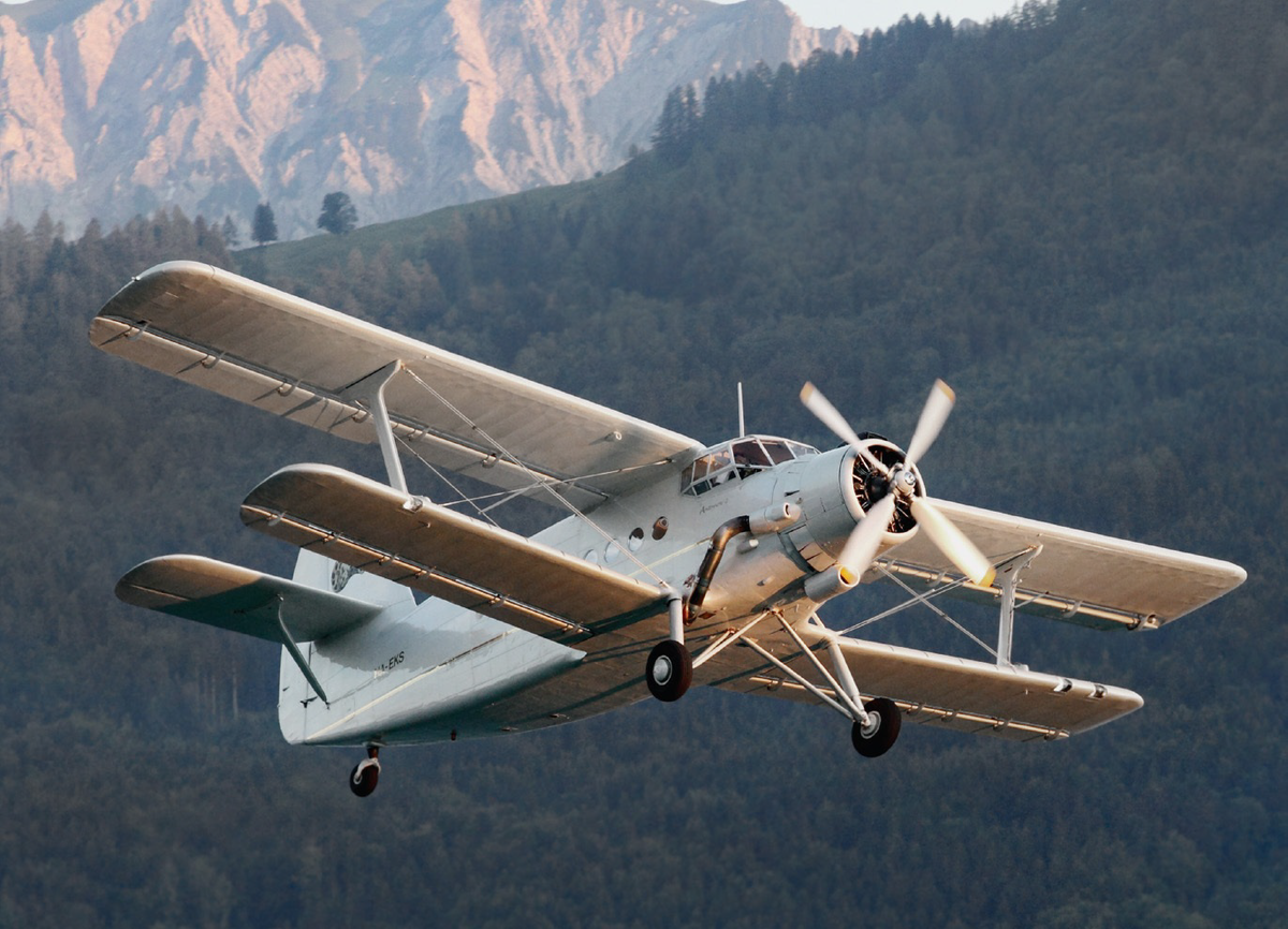 Картинка из свободных источников. 