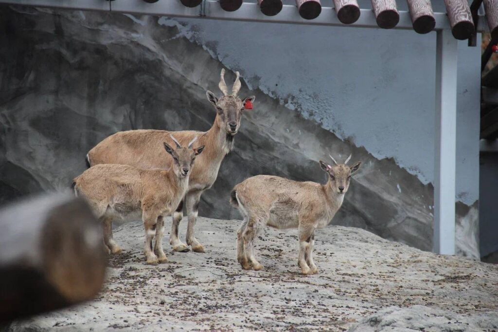    Фото: В курсе.ру Полина Анкушина