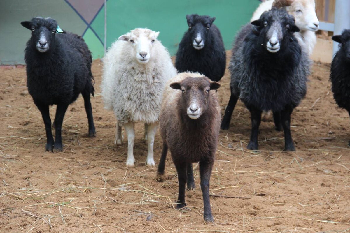    Фото: В курсе.ру Полина Анкушина