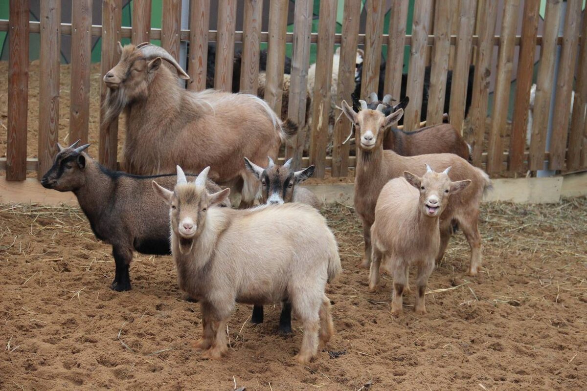    Фото: В курсе.ру Полина Анкушина