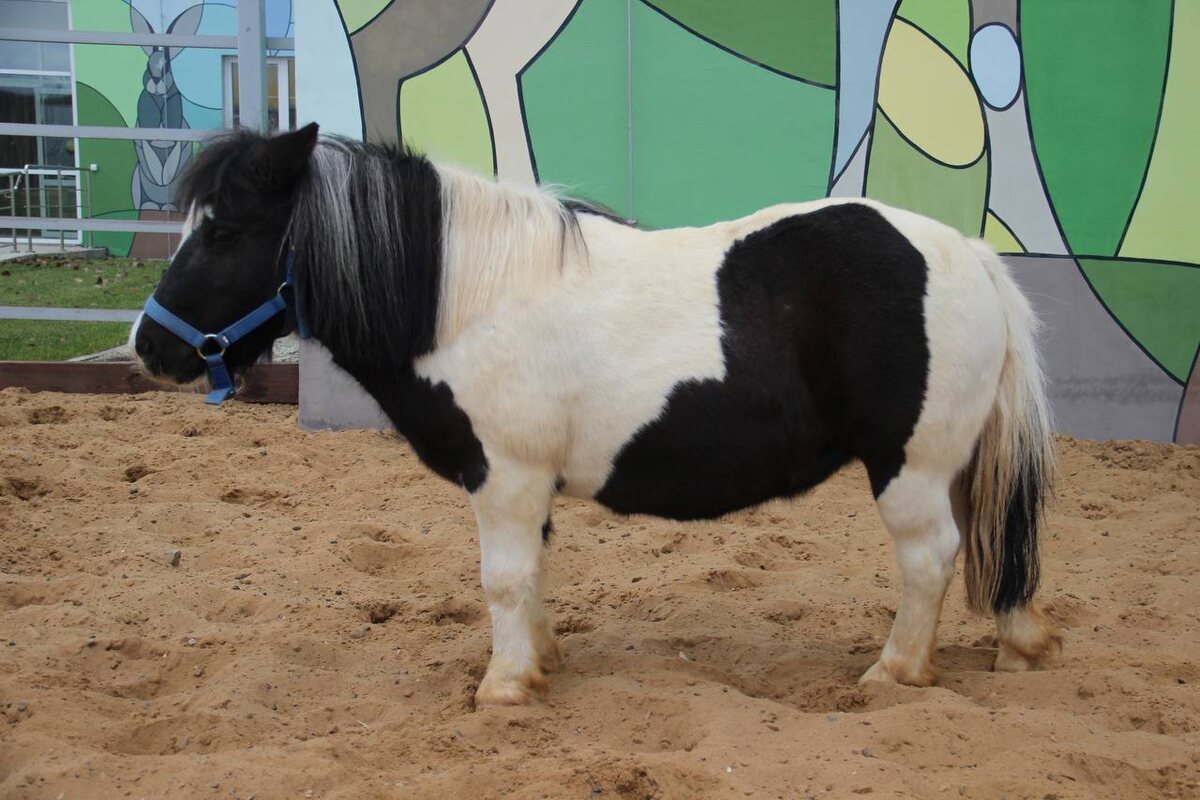    Фото: В курсе.ру Полина Анкушина