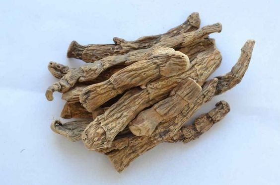 корень аира.