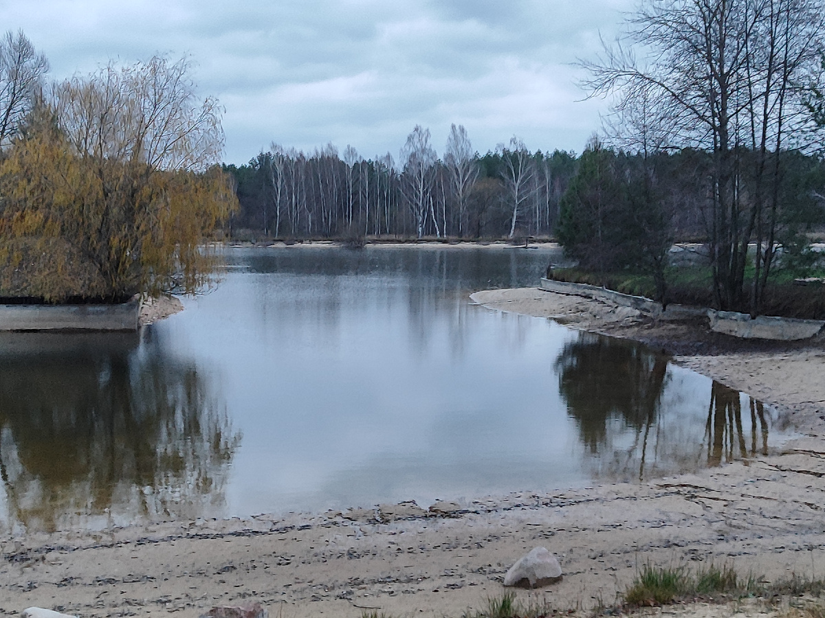 Брянский лес.  Озеро лесное. с.Тулуковщина.  20.11.24г.