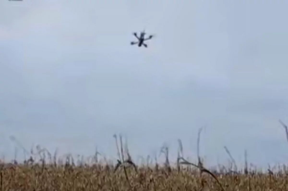    Операторы БПЛА спецназа «Ахмат» заметили у противника бойцов в форме НАТО