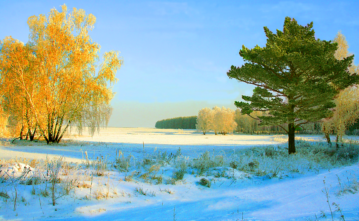 Фотография, стихотворение Василия Глуцкого