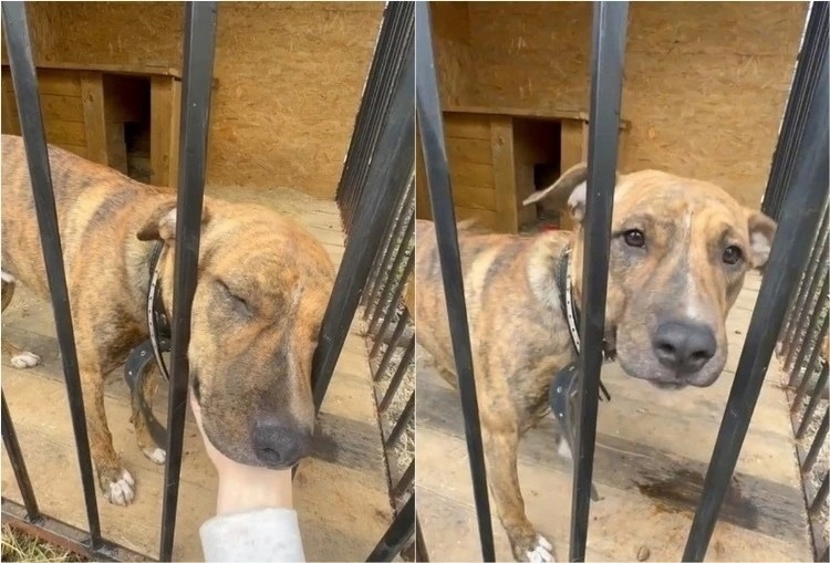 Фото: соцсети