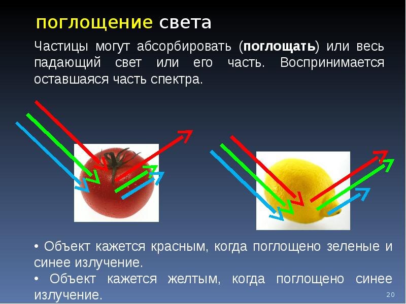 Фото взято из открытых Интернет-источников.