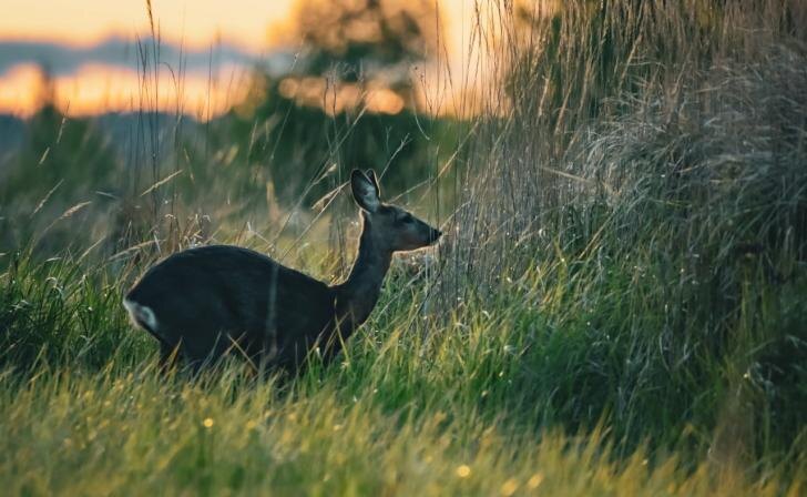    фото из архива Курских известий