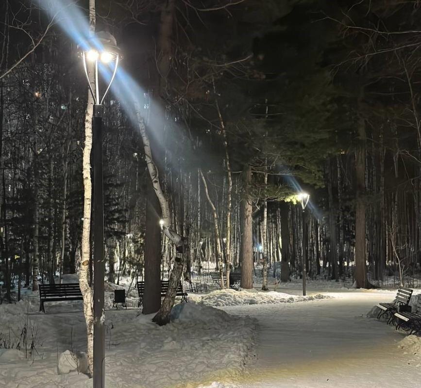    В Сургуте в сквере микрорайона 20А стало светлее