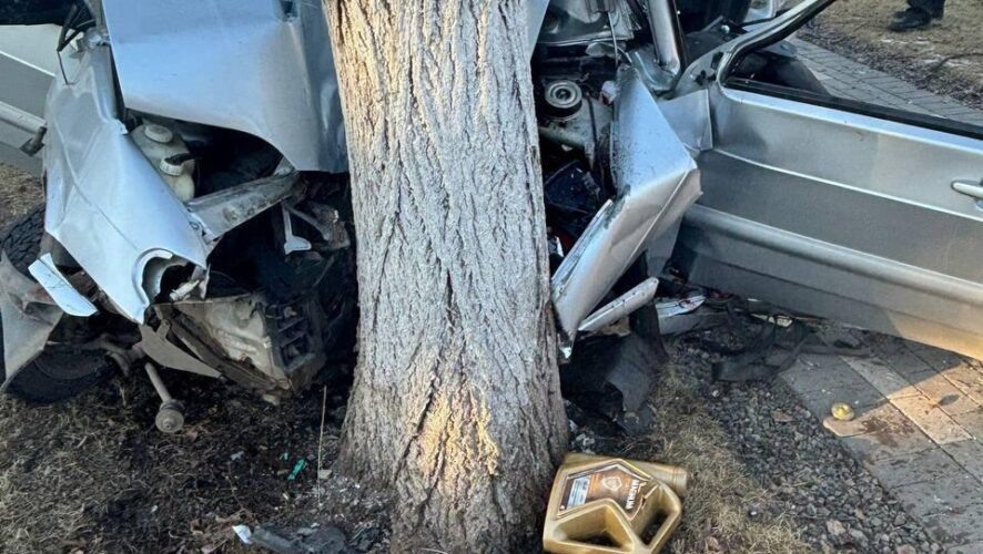    Фото: соцсети