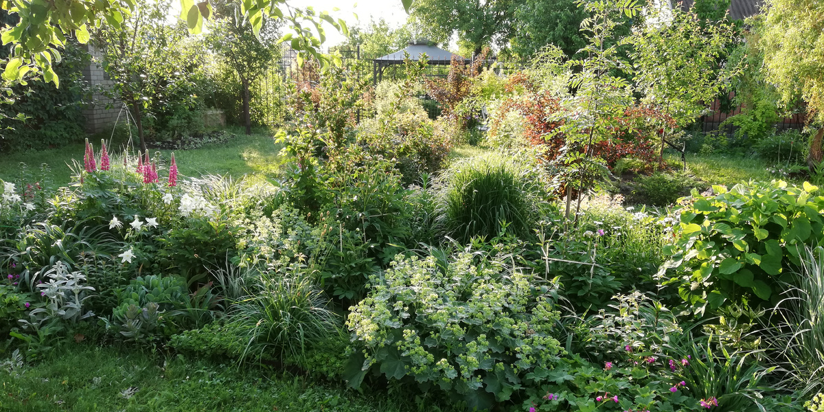 Восемь лет назад на даче мне нравилось что-то такое...