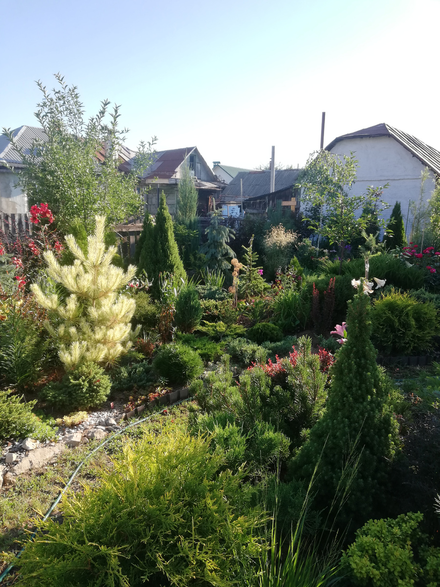 А сейчас в саду нравится такое...