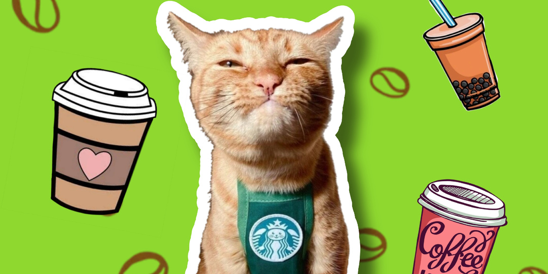 Как на русский язык переводится «бариста»? С кофе это слово не связано