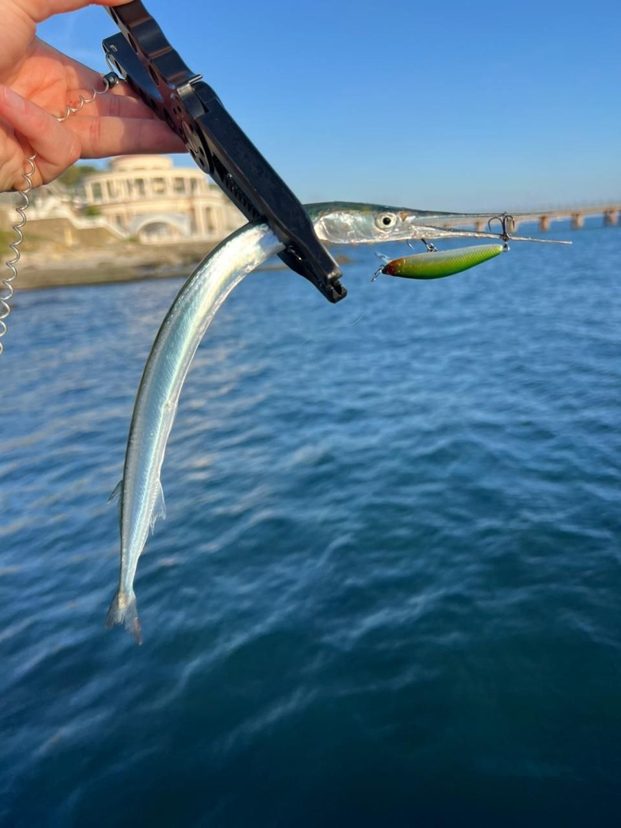 Сарган на воблеры