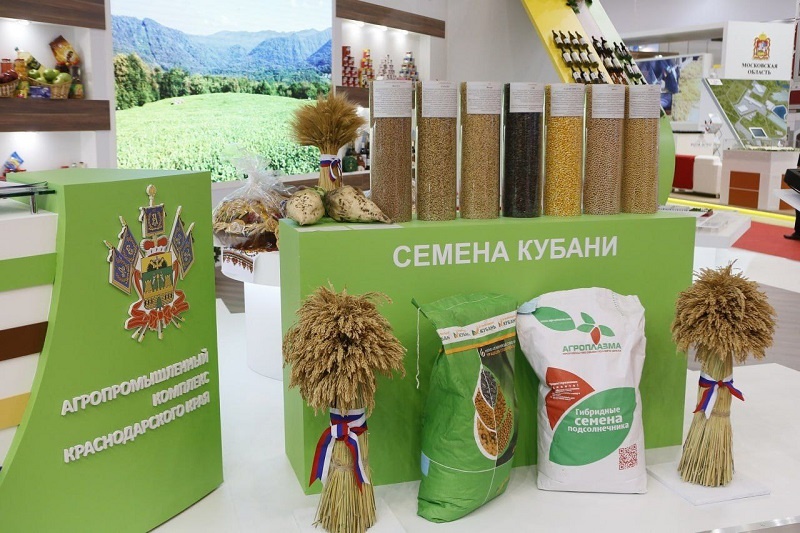    Фото: пресс-служба администрации Краснодарского края