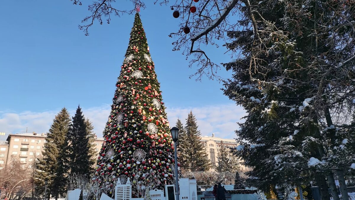     Автор: Эмилия Губарева Источник: atas.info