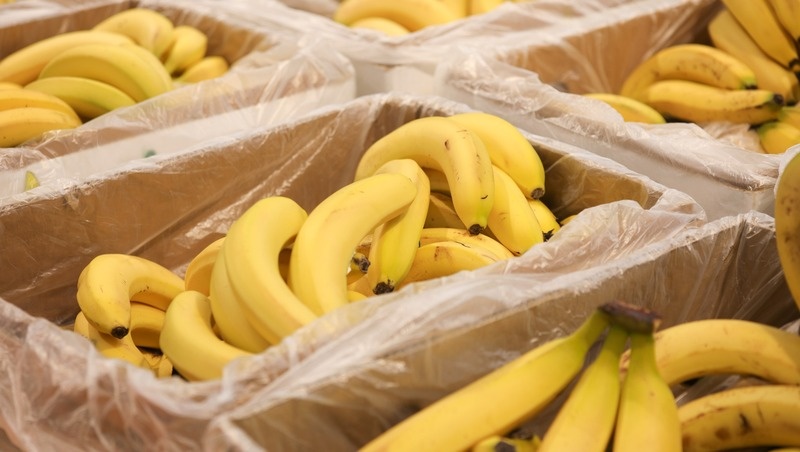      Фото: ИА «Победа26»