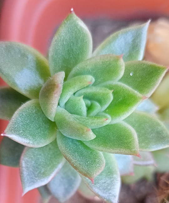 Фото автора канала "Волнушка"