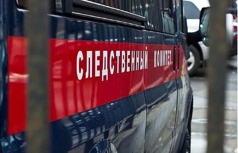 Фото: Илья Петров