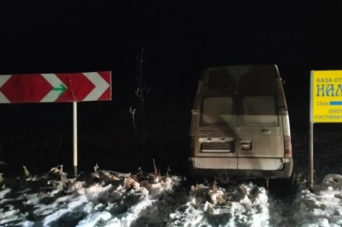    В ДТП на трассе в Инзенском районе пострадали сотрудницы птицефабрики