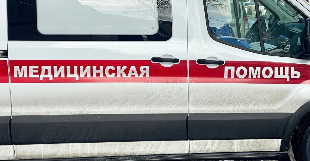    Ovchinnikova Irina/shutterstock