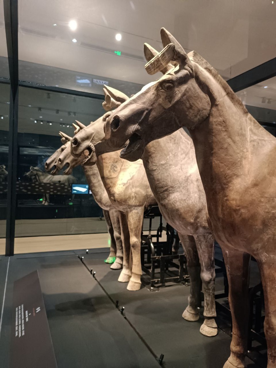 Выйду в поле с глиняным конем
