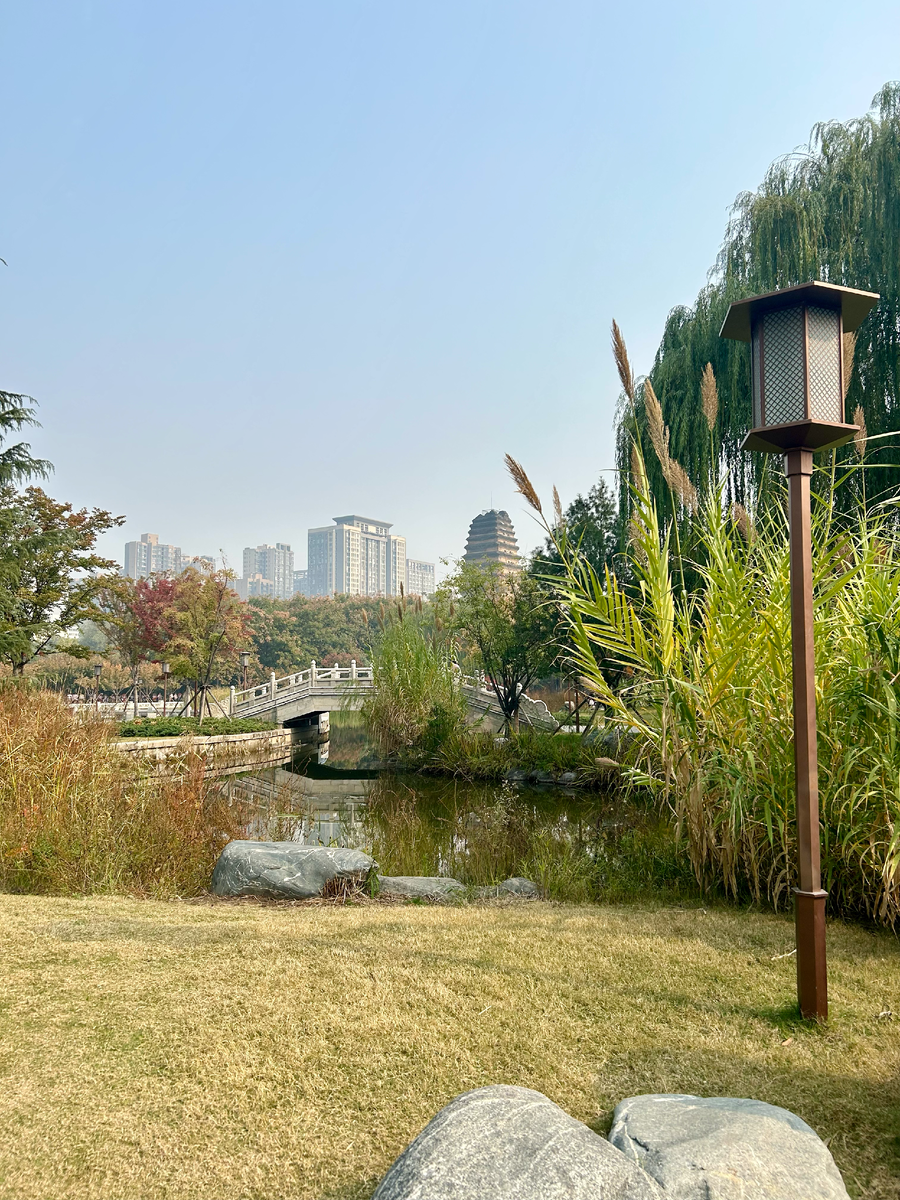 Пагода Малых гусей
