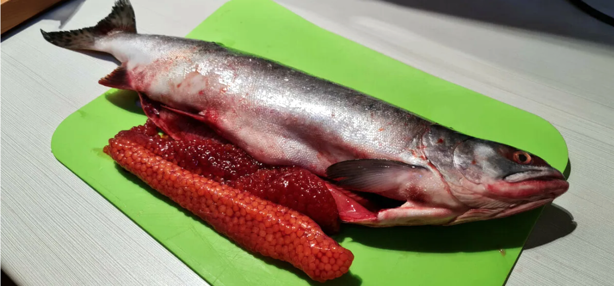 фото с ресурса Яндекс картинки