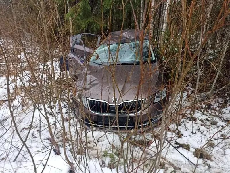     Источник: Госавтоинспекция Карелии / vk