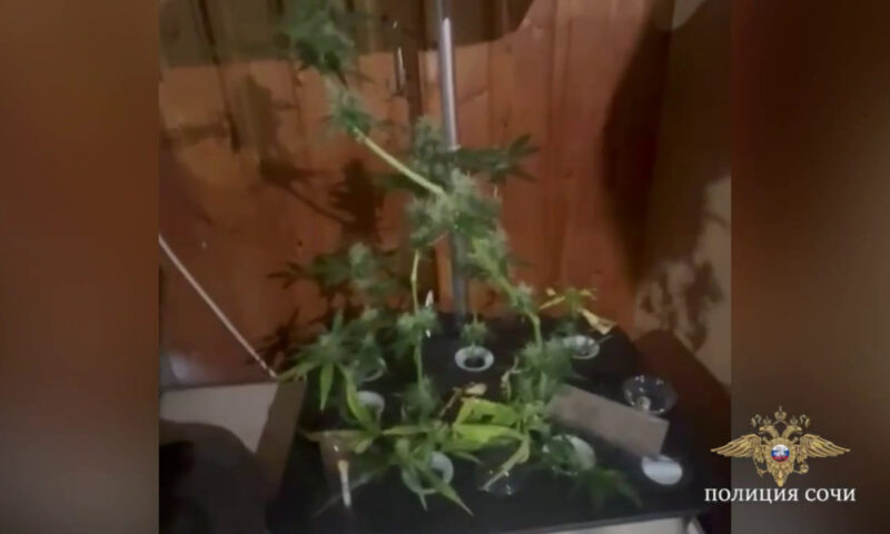    Фото t.me/police_sochi