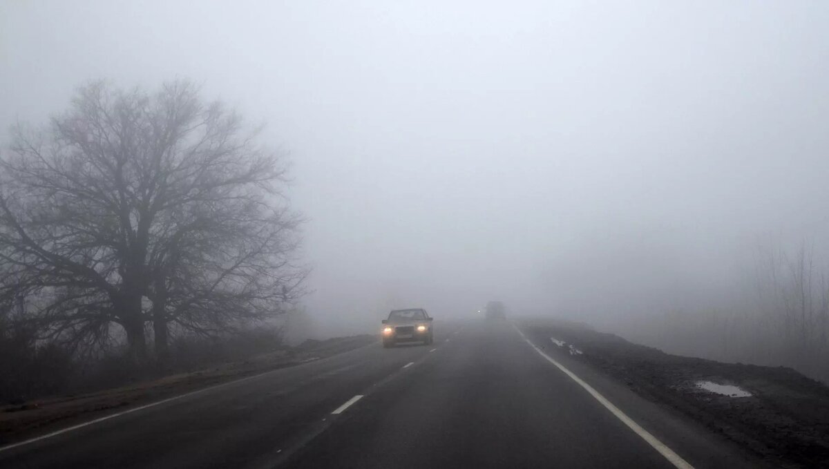     Источник: 1MI