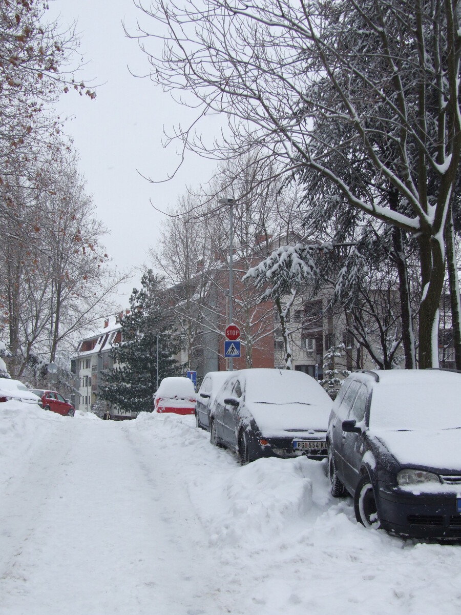 Зима в Белграде (фото - моё)