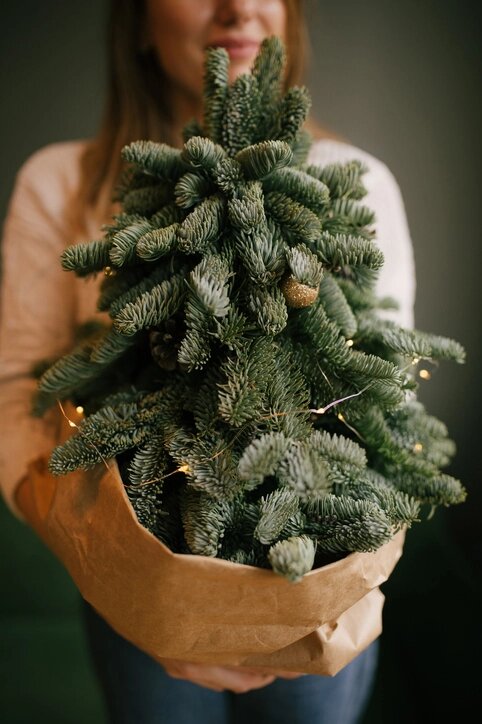    Искусственная елка. Фото: istockphoto.com