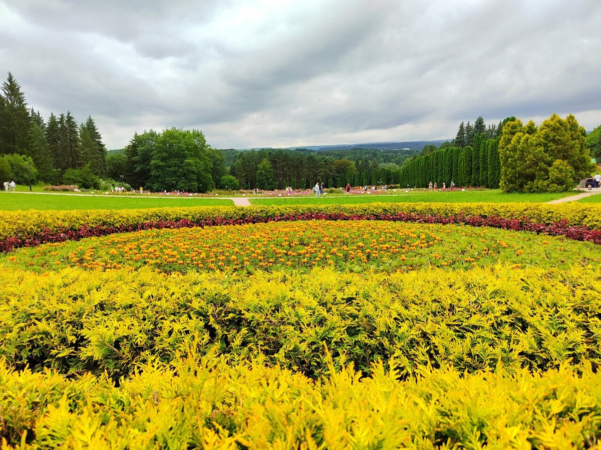 Долина роз в Кисловодске Фото: Яндекс карты. Автор: Елена Ш.
