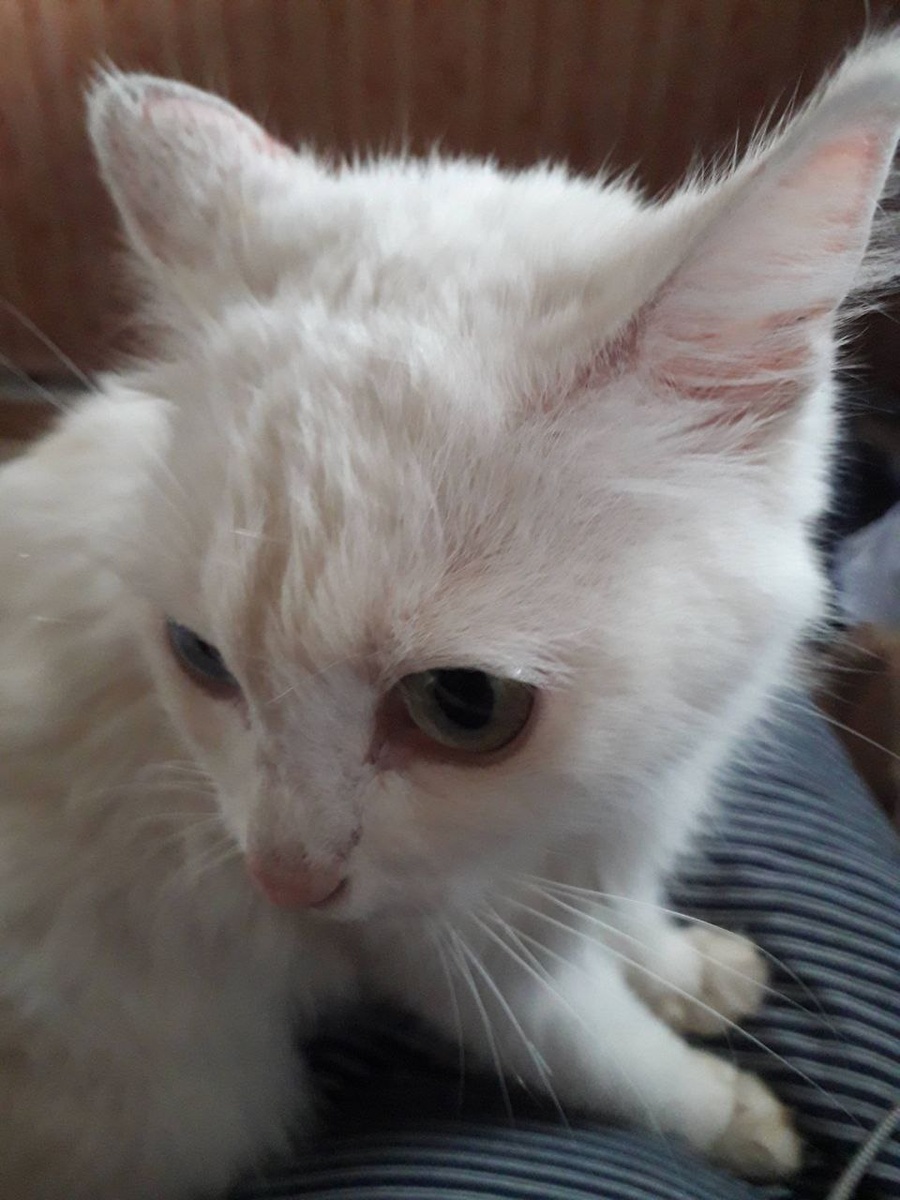 Ну привет бедолага. Заходи