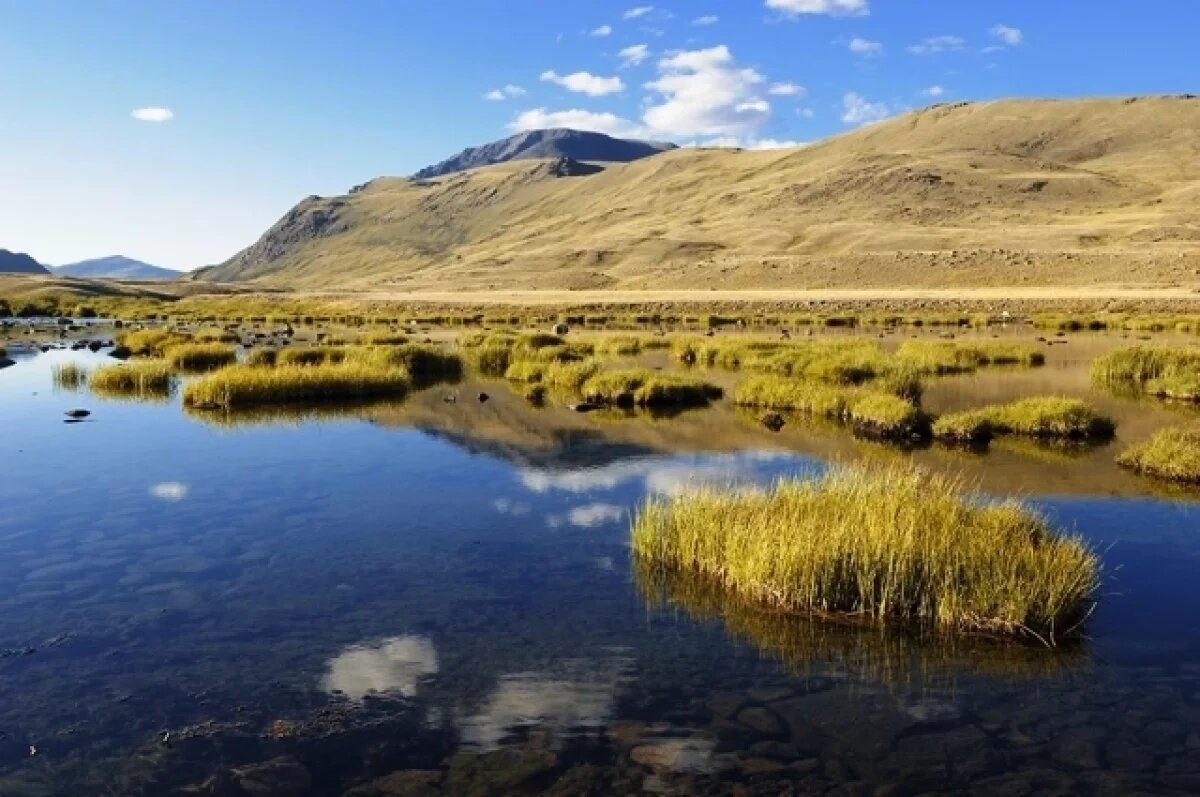    SHOT: шаманы на Алтае требуют срочно захоронить мумию принцессы Укока