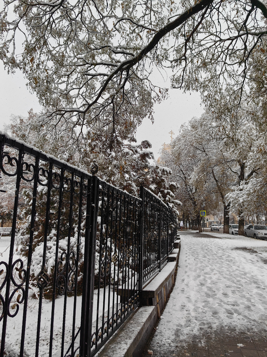 Фото автора