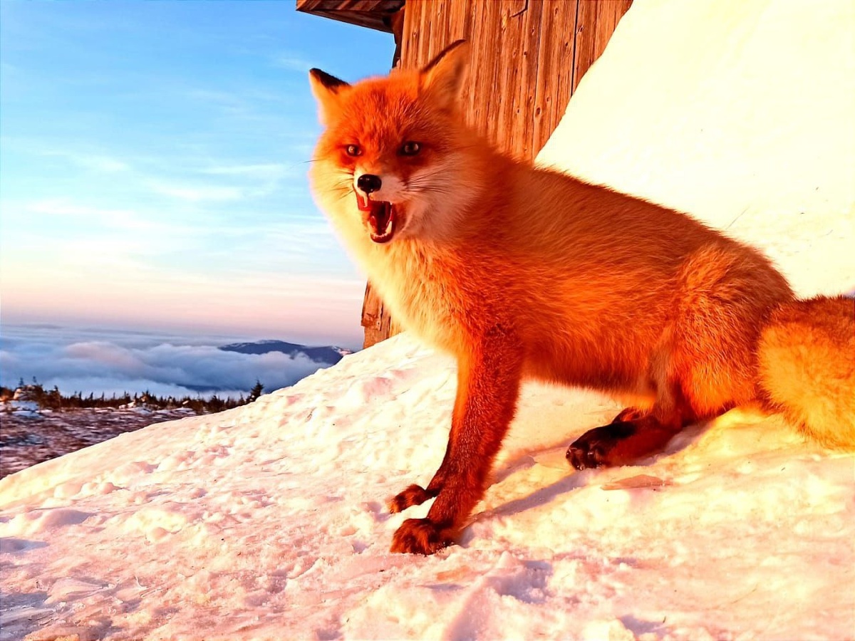 Фото: Национальный парк «Таганай»