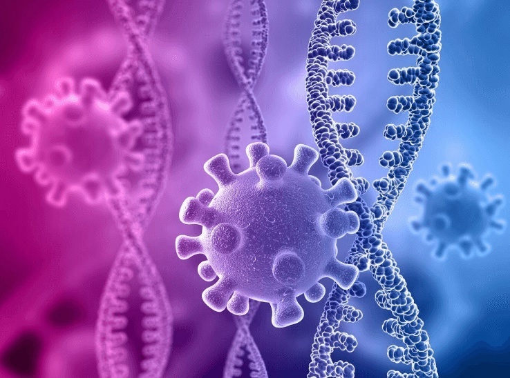 Вирус герпеса.