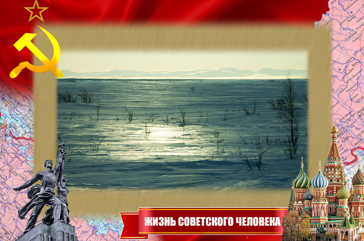 Тундра зимой