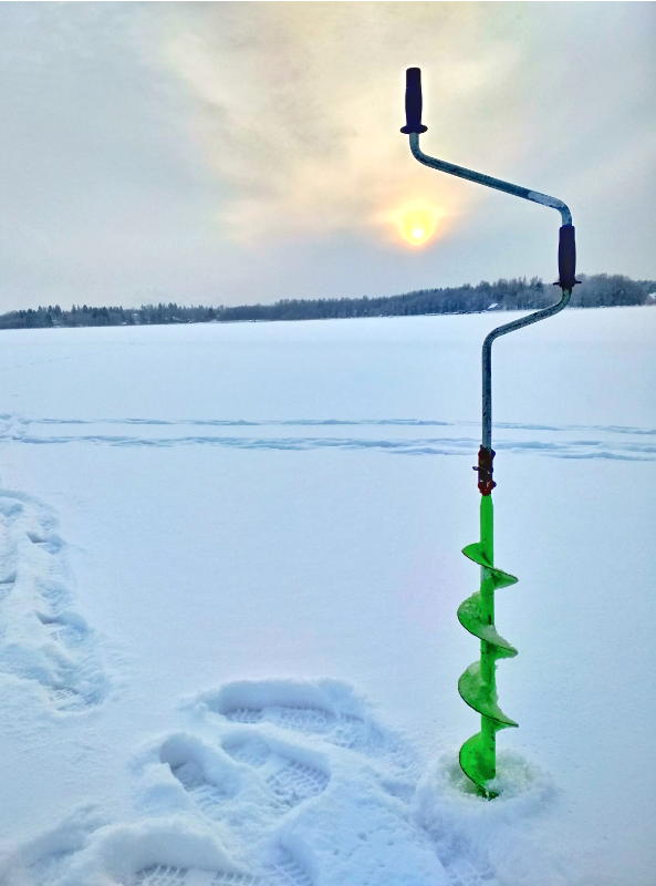 фото с ресурса Яндекс картинки