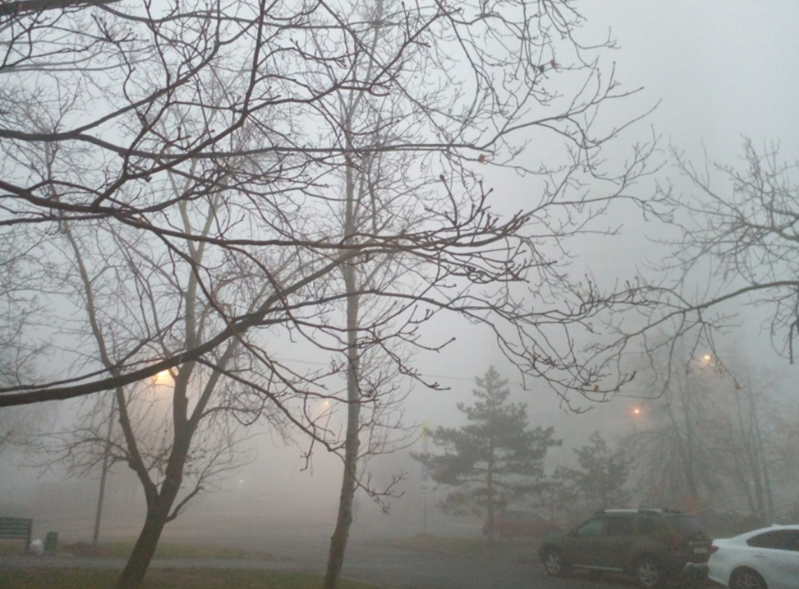 Собственное фото автора, то есть моё)))