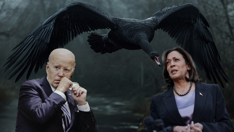    Фото: Царьград