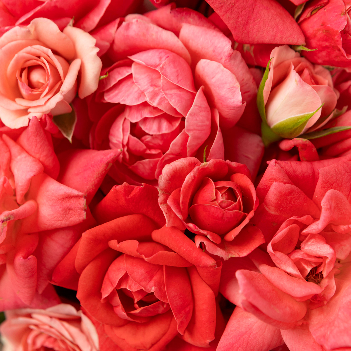 Источник изображения: https://ru.freepik.com/free-photo/beautiful-floral-valentine-s-day-concept_10700024.htm#from_view=detail_alsolike