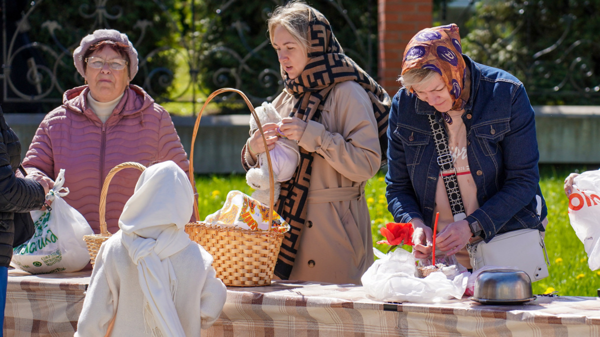 Светлана Мулыкина📷
