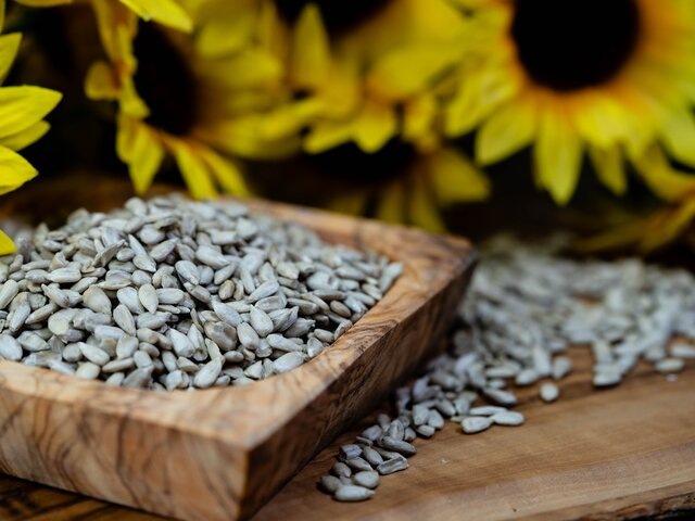    Фото: 123RF/steidi