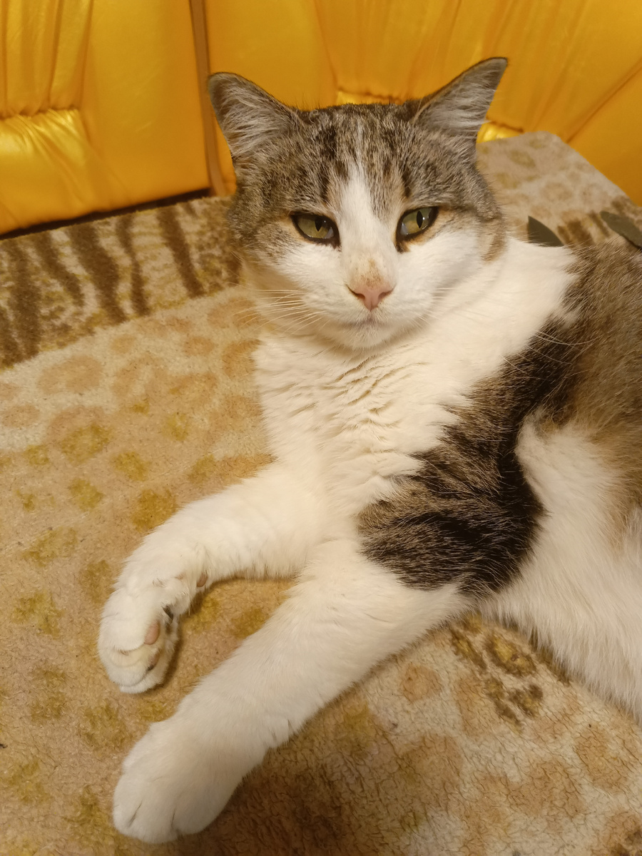 Моя Дунечка