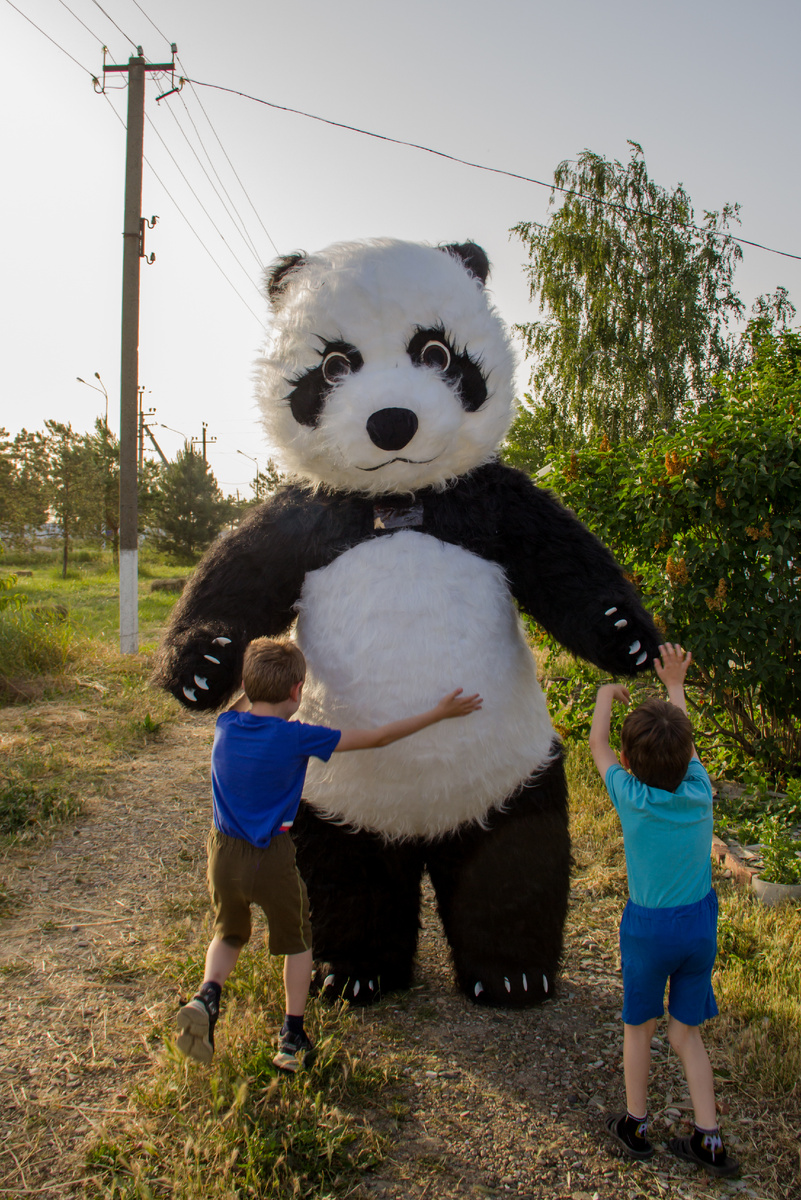 Фото автора, наша Пандочка