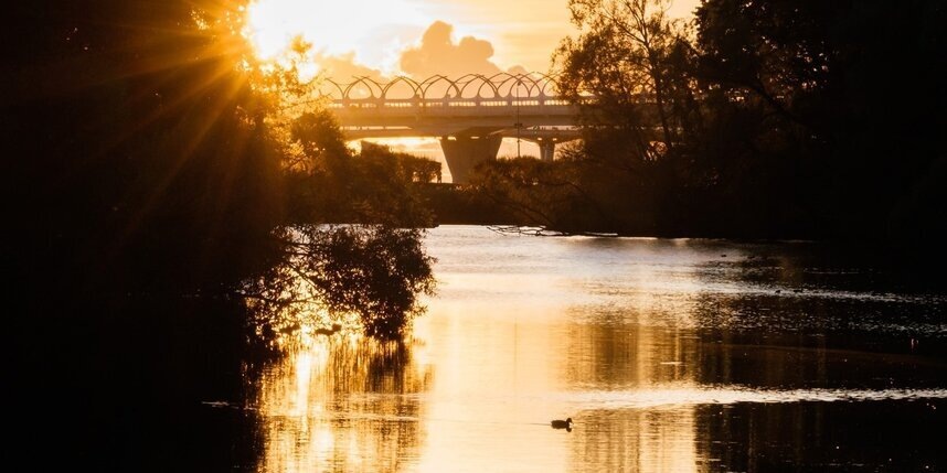    Алена Бобрович